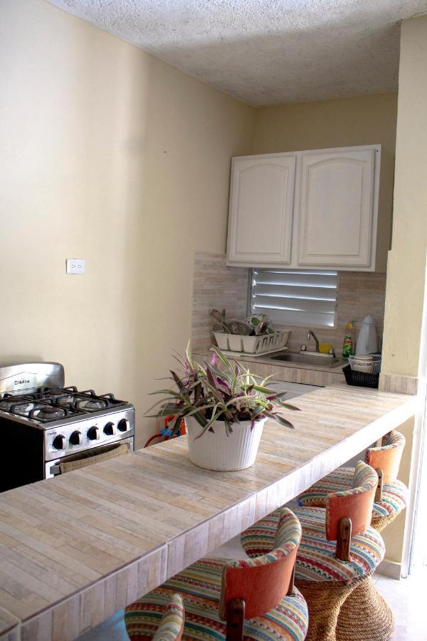 Complejo Villa Las Palmeras Piscina, Billar, Jardin, Bbq @Drvacationsrental Samana Екстер'єр фото